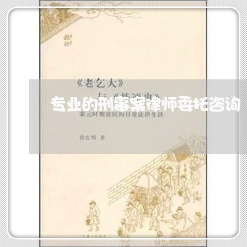 专业的刑事案律师委托咨询