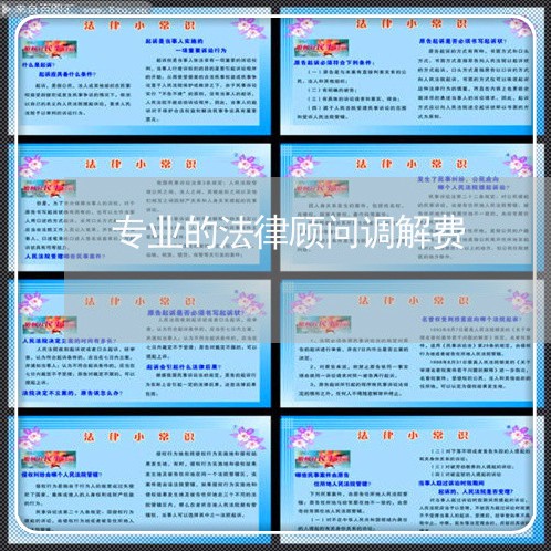 专业的法律顾问调解费/2023061882705