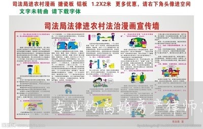 专业的离婚房产律师怎么委托