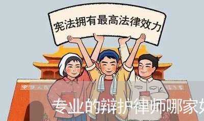 专业的辩护律师哪家好一些/2023060973814