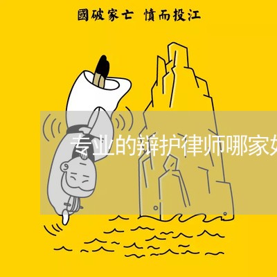 专业的辩护律师哪家好一些/2023060974697