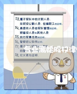 专业离婚股权律师团队