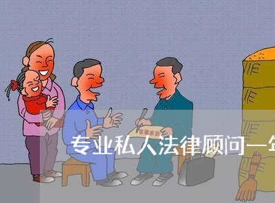 专业私人法律顾问一年多少钱