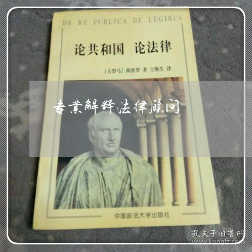 专业解释法律顾问/2023071494827