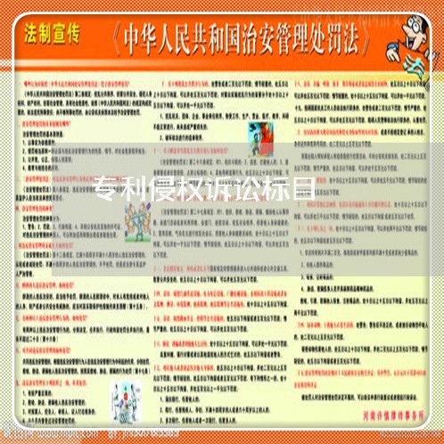 专利侵权诉讼标目