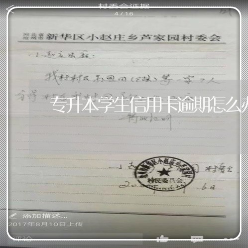 专升本学生信用卡逾期怎么办/2023062830151