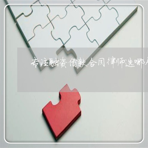 专注融资借款合同律师选哪个