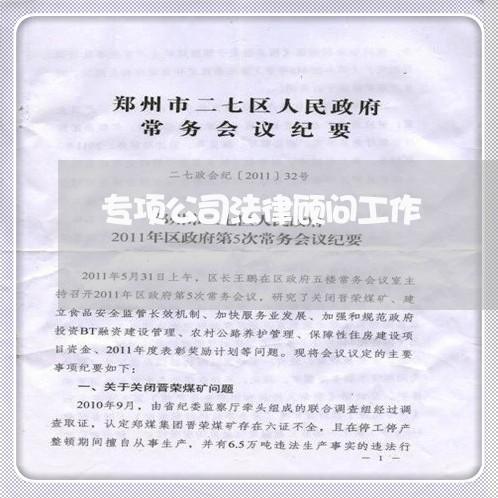专项公司法律顾问工作