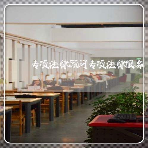 专项法律顾问专项法律服务 专项法律顾问专项法律服务
