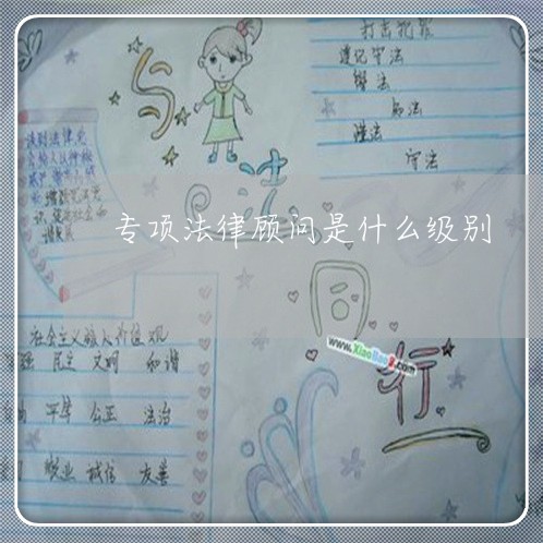 专项法律顾问是什么级别/2023061850373
