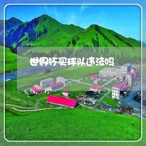世界杯买球队违法吗