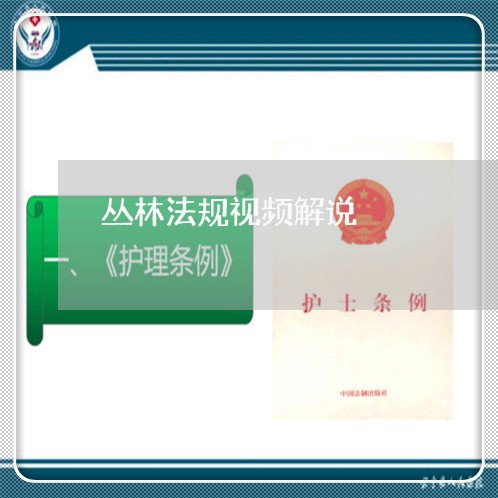 丛林法规视频解说