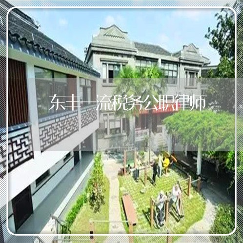 东丰一流税务公职律师