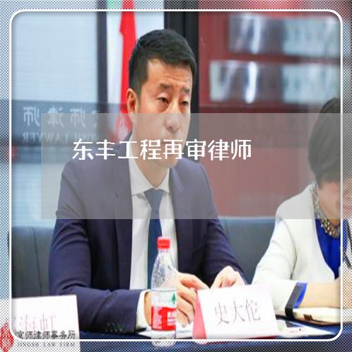 东丰工程再审律师