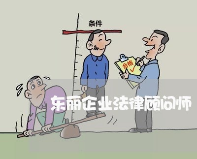 东丽企业法律顾问师 东丽企业法律顾问师