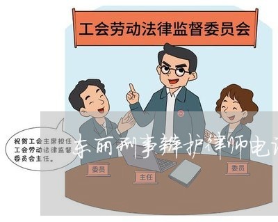 东丽刑事辩护律师电话是多少/2023061169480