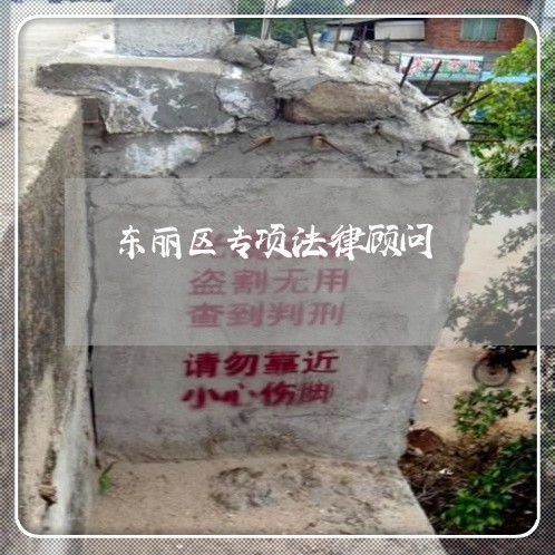 东丽区专项法律顾问/2023061792695