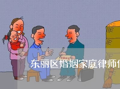 东丽区婚姻家庭律师信息在线查询