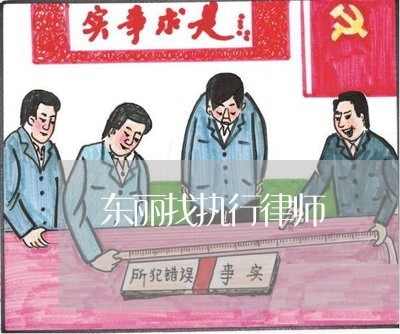 东丽找执行律师 东丽找执行律师
