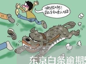 东京白条逾期5天会上征信吗 东京白条逾期5天会上征信吗