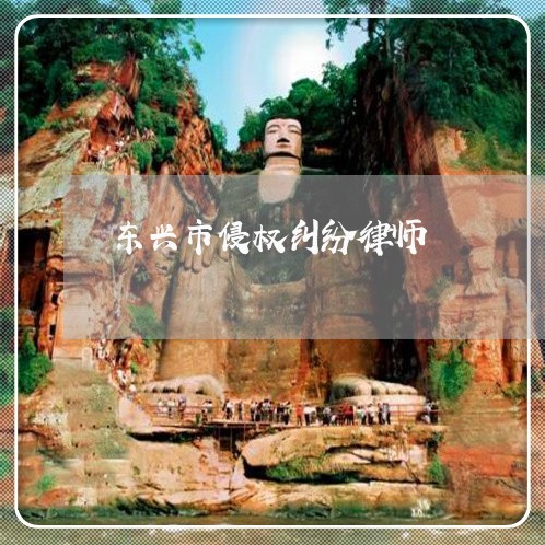 东兴市侵权纠纷律师