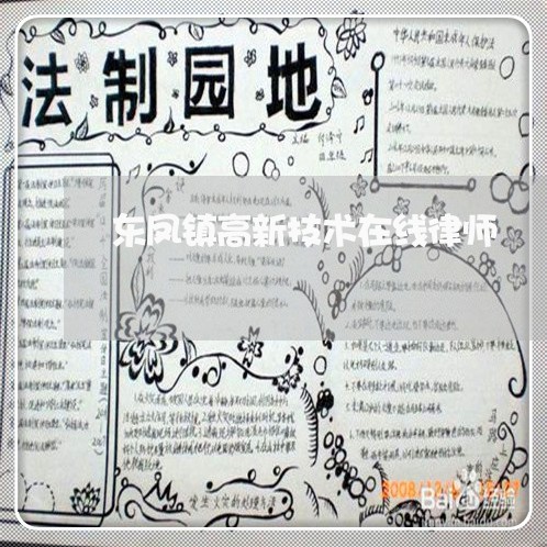 东凤镇高新技术在线律师