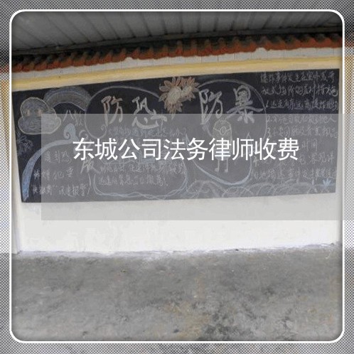 东城公司法务律师收费 东城公司法务律师收费