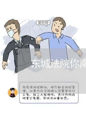 东城法院你南区电话号码