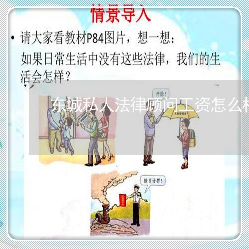 东城私人法律顾问工资怎么样 东城私人法律顾问工资怎么样