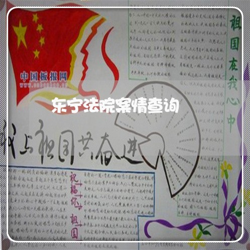 东宁法院案情查询 东宁法院案情查询