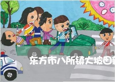 东方市八所镇大坡田新村违法建筑