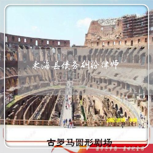 东海县债务纠纷律师