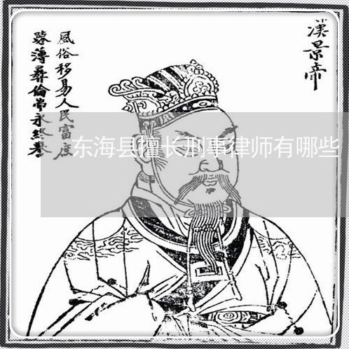 东海县擅长刑事律师有哪些
