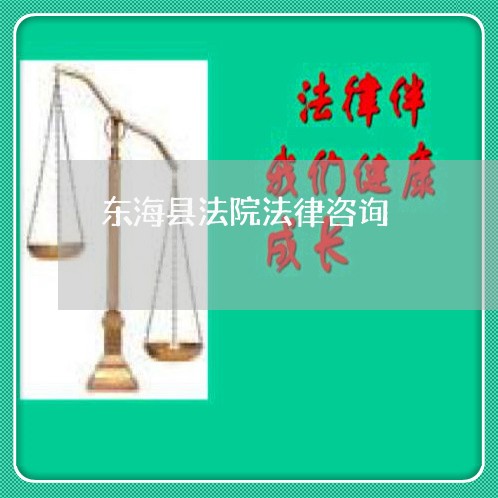 东海县法院法律咨询