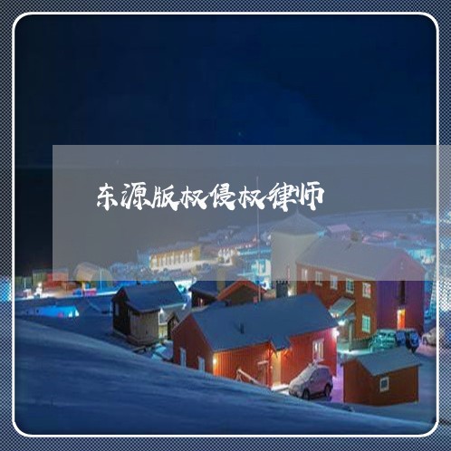 东源版权侵权律师 东源版权侵权律师