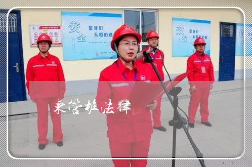 东管桩法律 东管桩法律