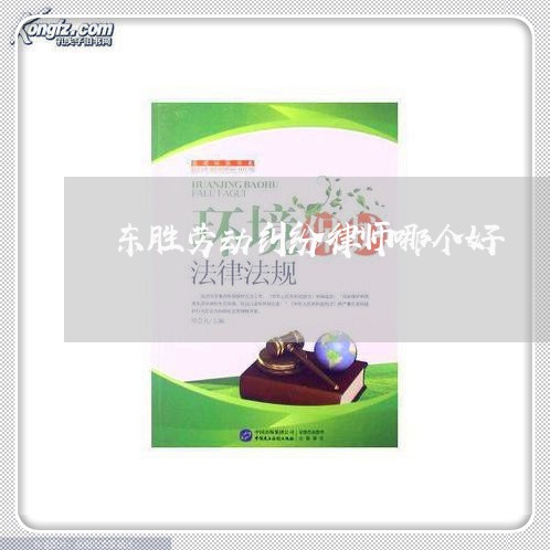 东胜劳动纠纷律师哪个好