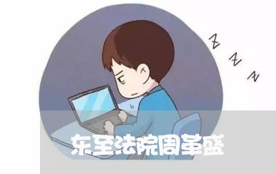 东至法院周革盛