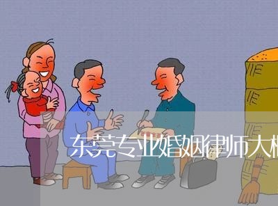 东莞专业婚姻律师大概多少钱