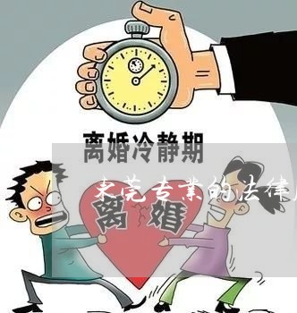 东莞专业的法律顾问律师团队