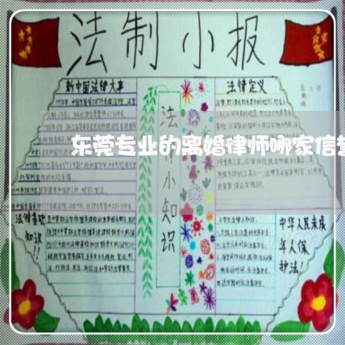 东莞专业的离婚律师哪家信誉好