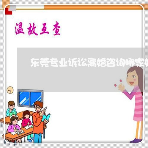 东莞专业诉讼离婚咨询哪家好