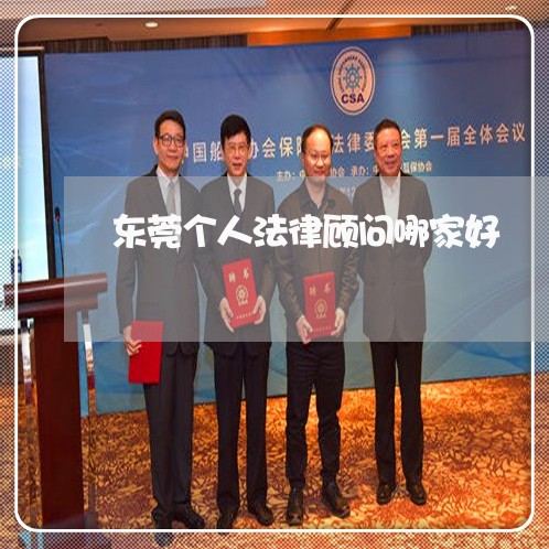 东莞个人法律顾问哪家好 东莞个人法律顾问哪家好