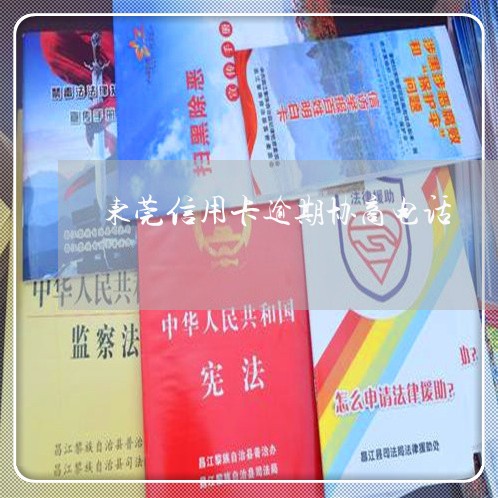东莞信用卡逾期协商电话/2023041105925