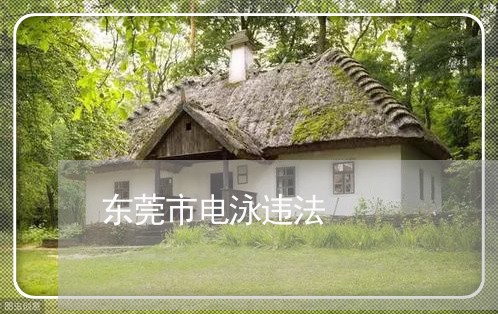 东莞市电泳违法
