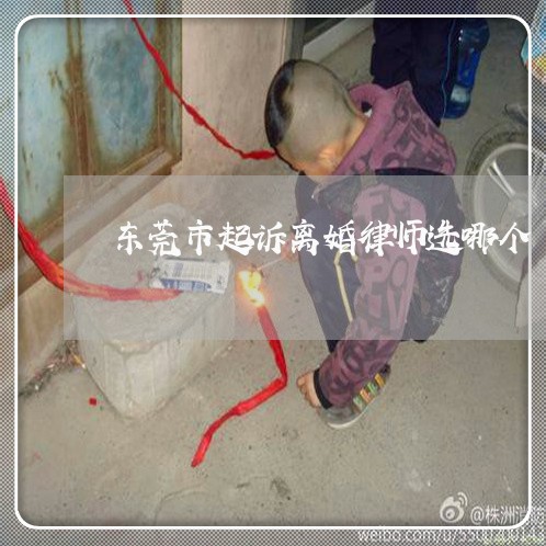 东莞市起诉离婚律师选哪个