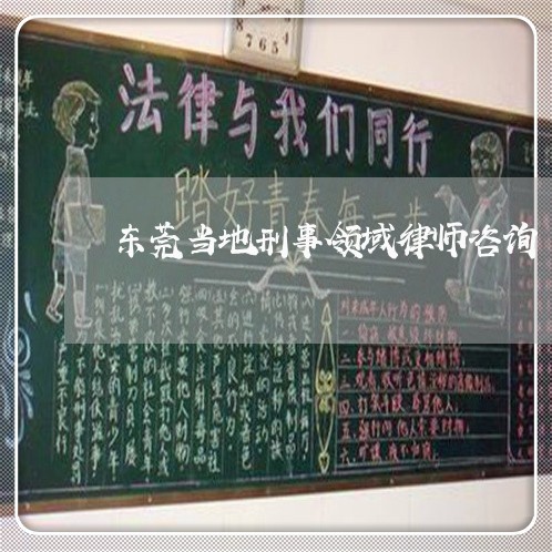 东莞当地刑事领域律师咨询