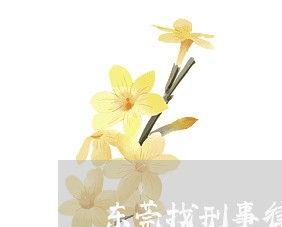 东莞找刑事律师多少钱一次 东莞找刑事律师多少钱一次