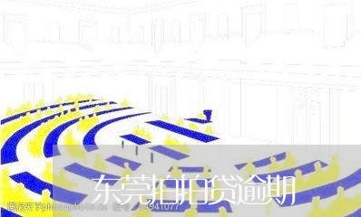 东莞拍拍贷逾期/2023071416068