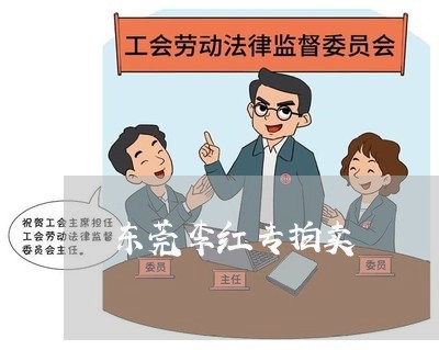 东莞李红专拍卖